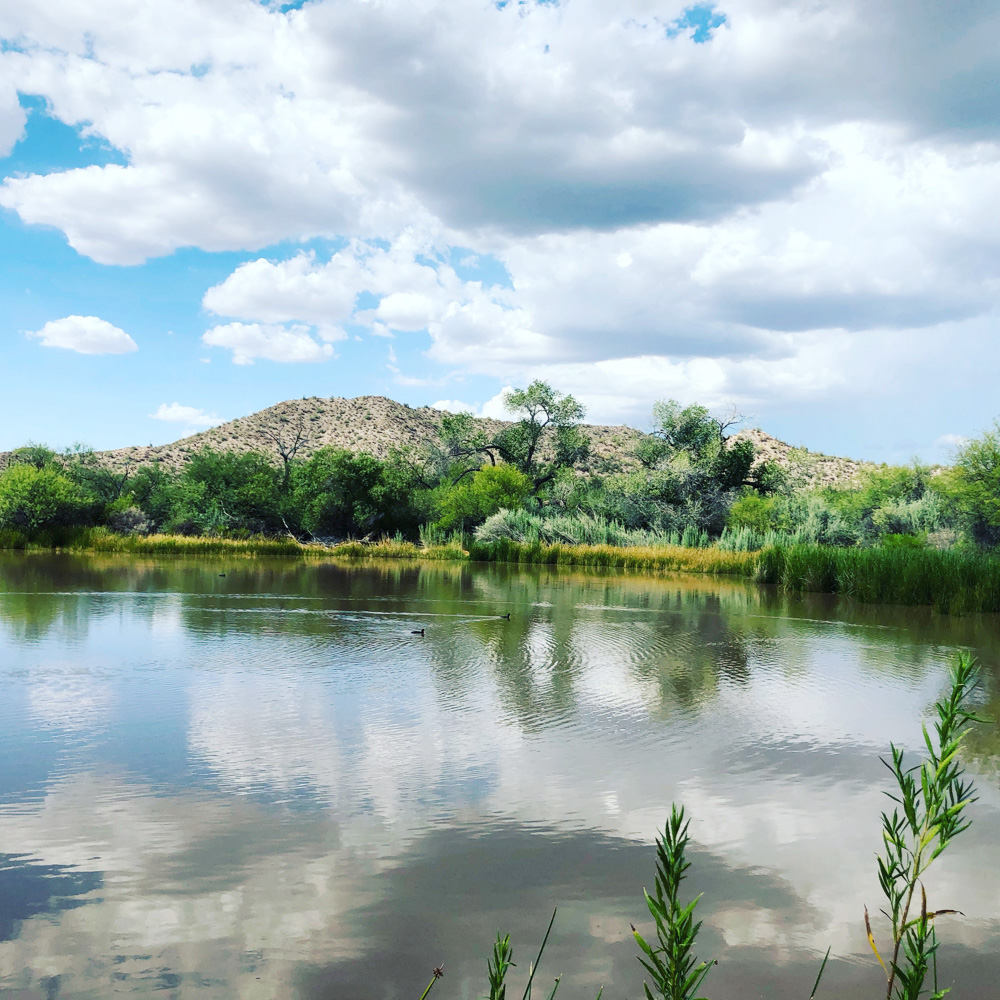 EEUU propone proteger un raro caracol que habita un manantial en la frontera con México
