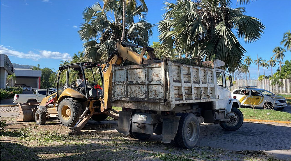 Trabajan para restaurar la normalidad en Puerto Vallarta