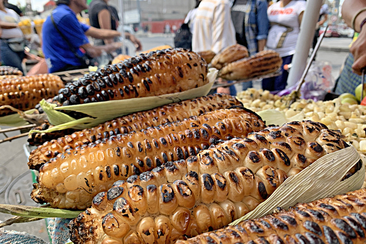 Tipo de vecindarios donde se vive afecta la alimentación y la estructura del cerebro