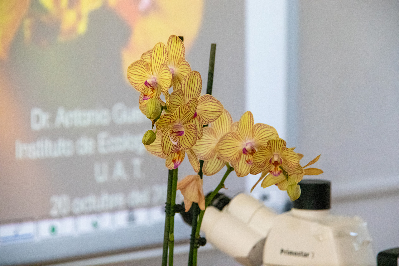 Promueve UAT el cultivo y conservación de orquídeas  