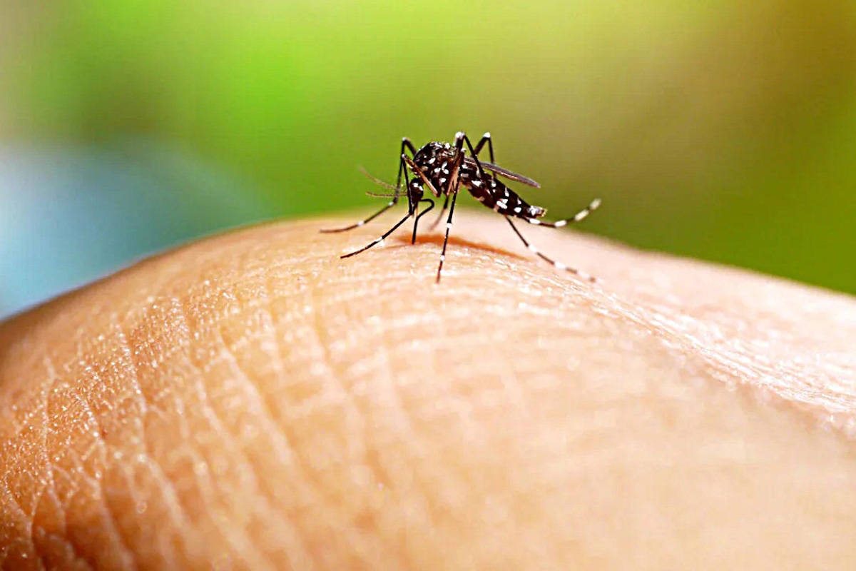 Avance histórico: Ixchiq, la vacuna contra chikungunya logra aprobación acelerada