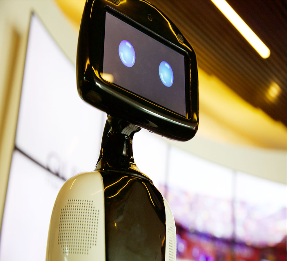 ¿Están los consumidores preparados para que aparezcan robots en su puerta?