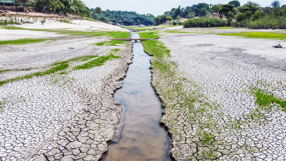 Los últimos 12 meses han sido los más cálidos en 125.000 años, según un estudio
