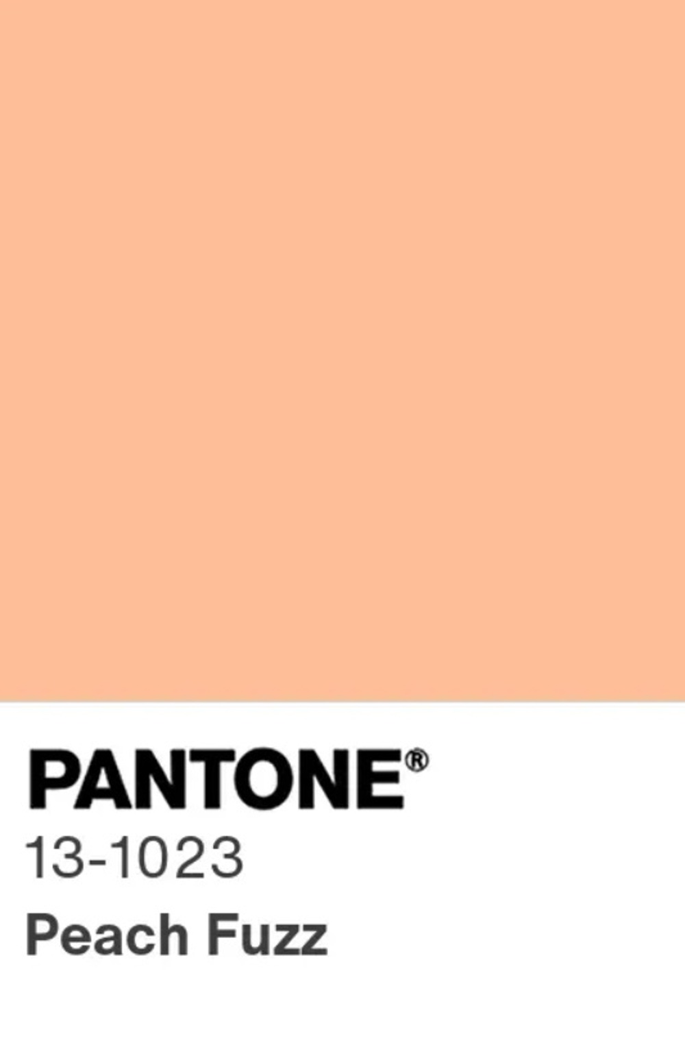 ‘Peach Fuzz’ (melocotón suave), color del año 2024 por el Instituto Pantone