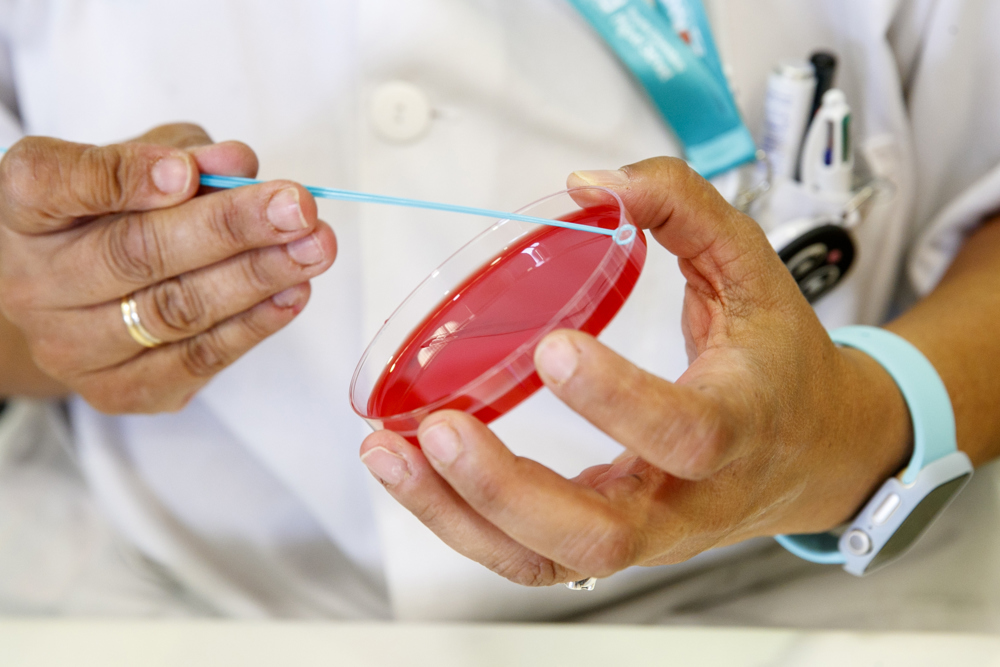 Logran una vacuna de polvo seco que se inhala una vez y previene el Covid-19 en animales