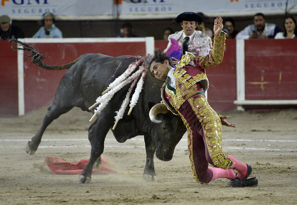 Este domingo regresan corridas de toros a Ciudad de México con mexicanos Adame y Silveti