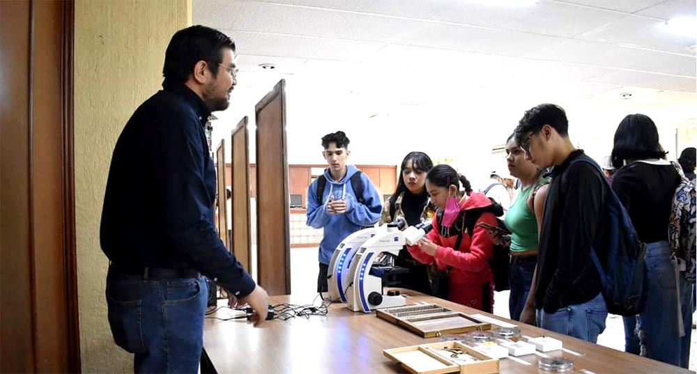 Identifica la UAT plantas con potencial bioinsecticida