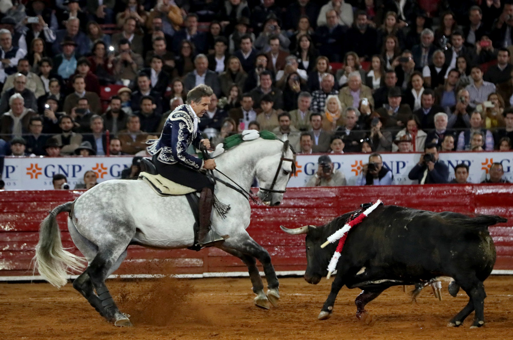 Pablo Hermoso, El Calita y toros de Torreón de Cañas cierran el Carnaval de Jalos, México