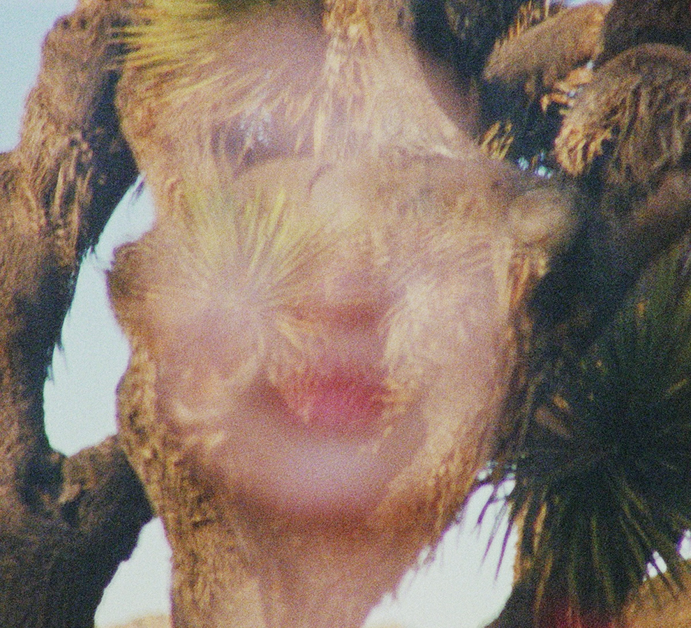 DREXLER estrena nueva canción: “Derrumbe” y cierra “Tinta y Tiempo”  con una gran gira en México