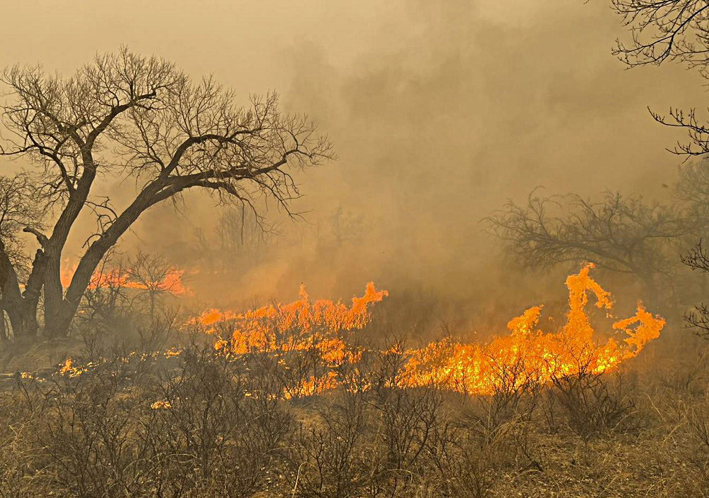 Implacables los incendios en Texas
