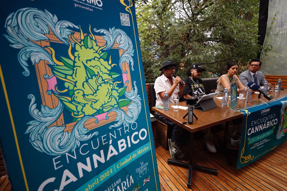 Colectivos prevén que México no regule el cannabis hasta que EEUU lo haga a nivel federal