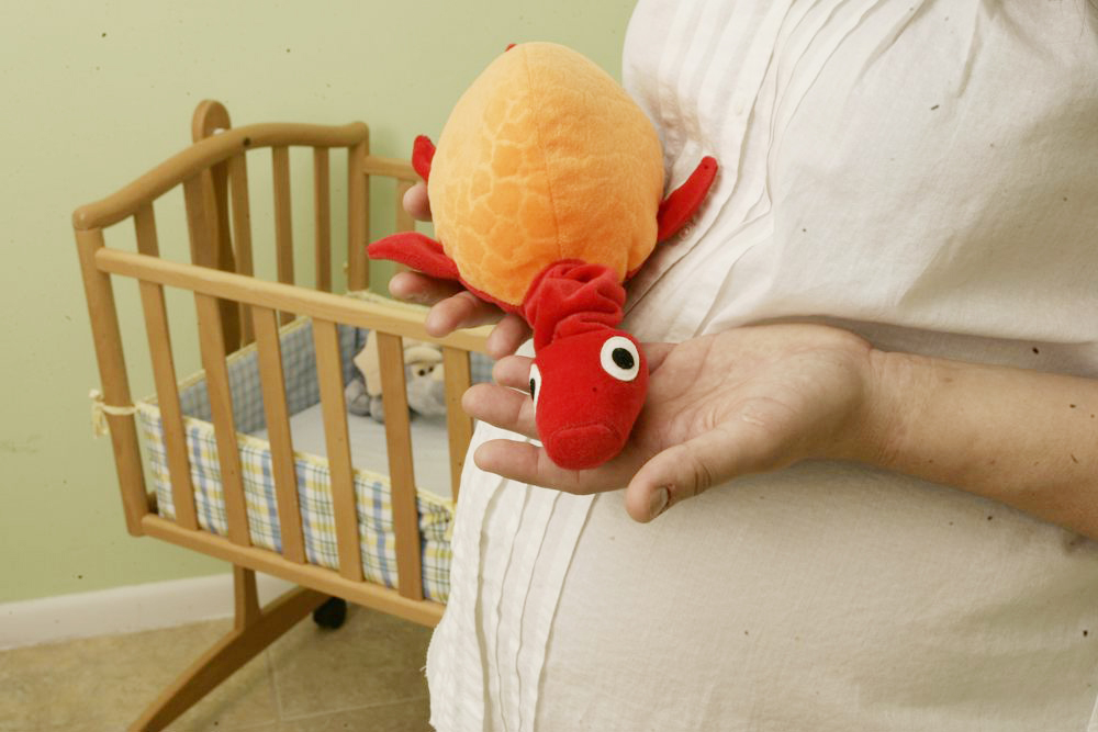 Coalición latina pide etiqueta en harina de maíz que advierta si no contiene ácido fólico