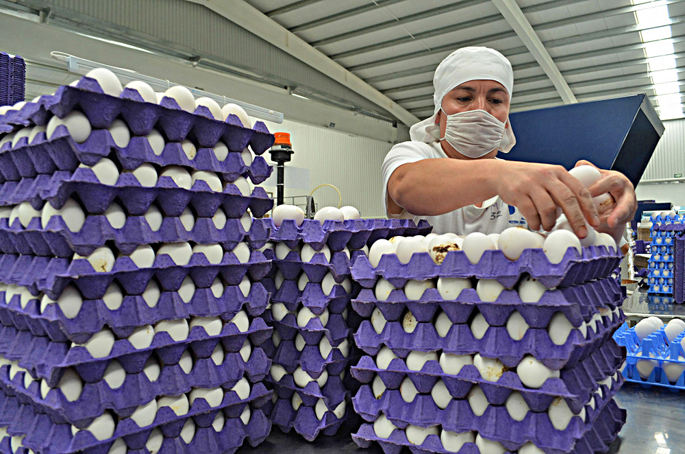 Balanza agro de México registra superávit de 1.492 millones de dólares en enero y febrero