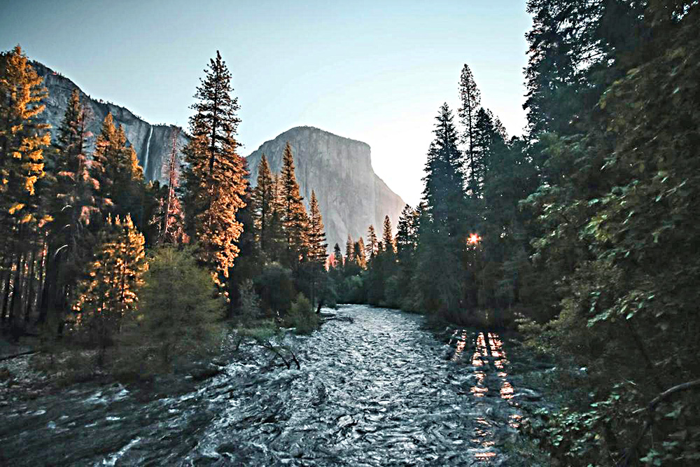 Conocimientos indígenas podrían ayudar a la adaptación forestal ante cambio climático