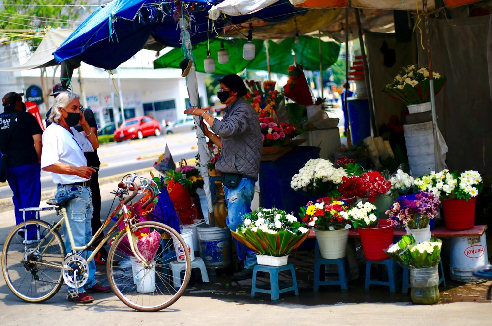 Autoridades fronterizas de EE.UU. decomisarán flores prohibidas durante Día de la Madre