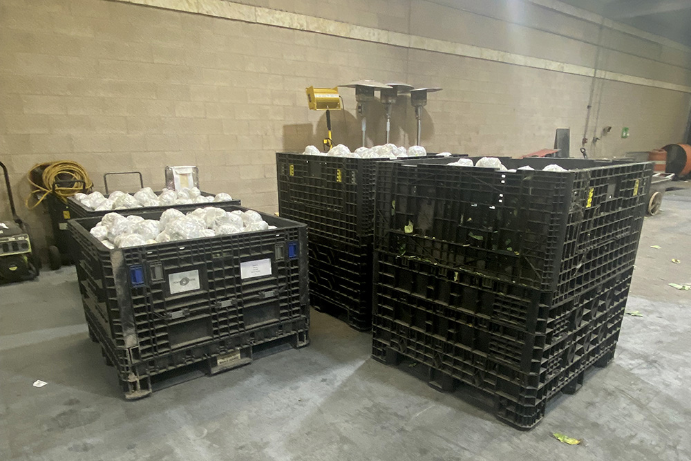 Incautaron más de 1,400 libras de marihuana en el Puente Internacional de Pharr