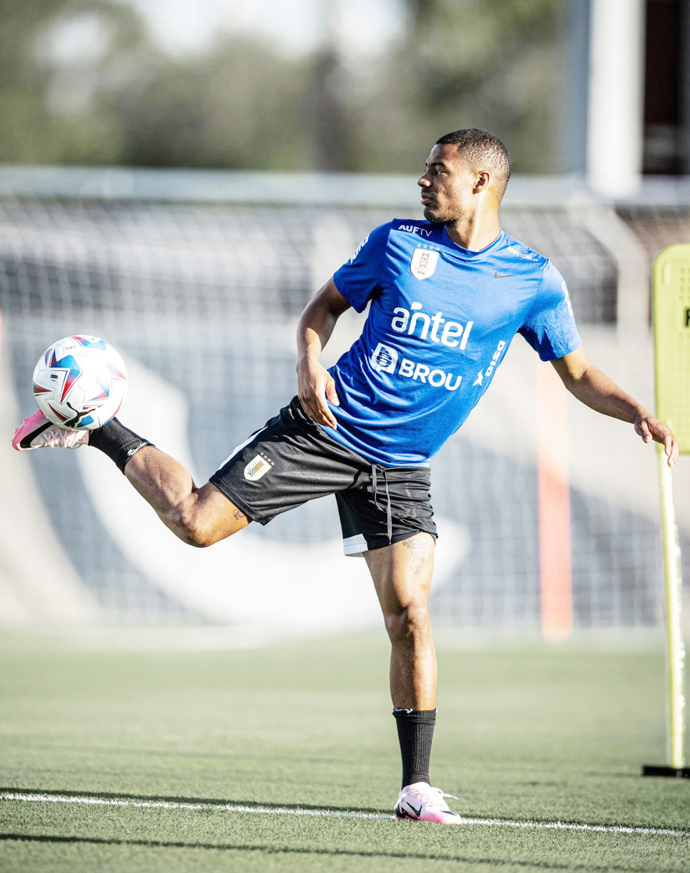 Nicolás de la Cruz apunta a ser la novedad de Uruguay contra Bolivia