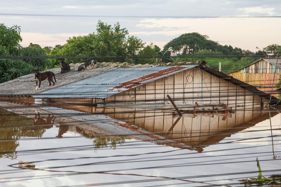 Jefe de la ONU pide proteger a la Tierra de cara al Día Mundial del Medio Ambiente