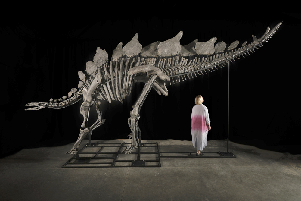 Esqueleto de dinosaurio Apex se vende por 44,6 millones, el precio más caro de la historia