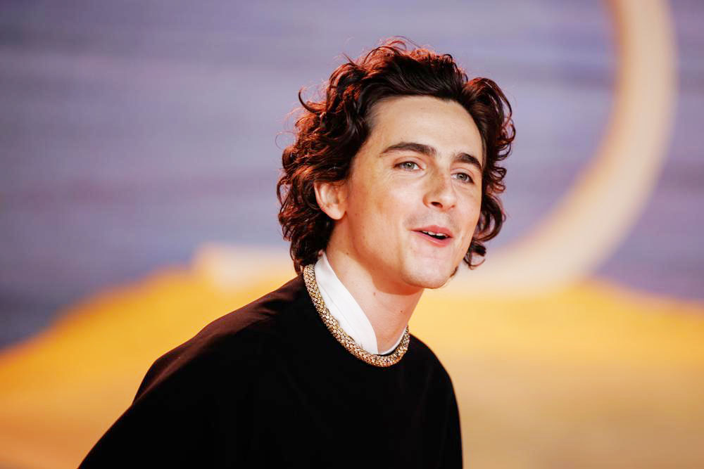 Timothée Chalamet protagonizará un filme sobre el jugador de ping pong Marty Reisman