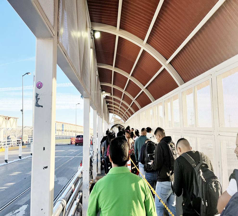 Nuevos requisitos para ingresar a Estados Unidos con perros a partir de agosto 2024