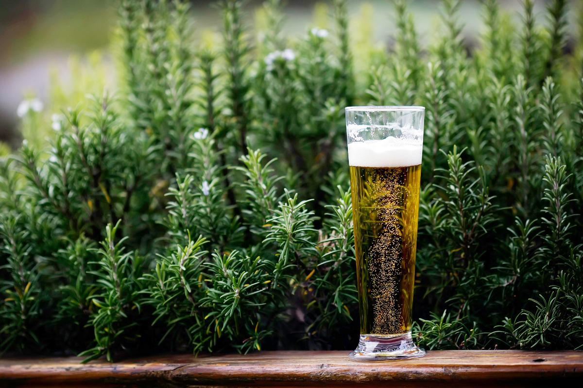 Tecnología avanzada impulsa la sostenibilidad en la producción cervecera de México