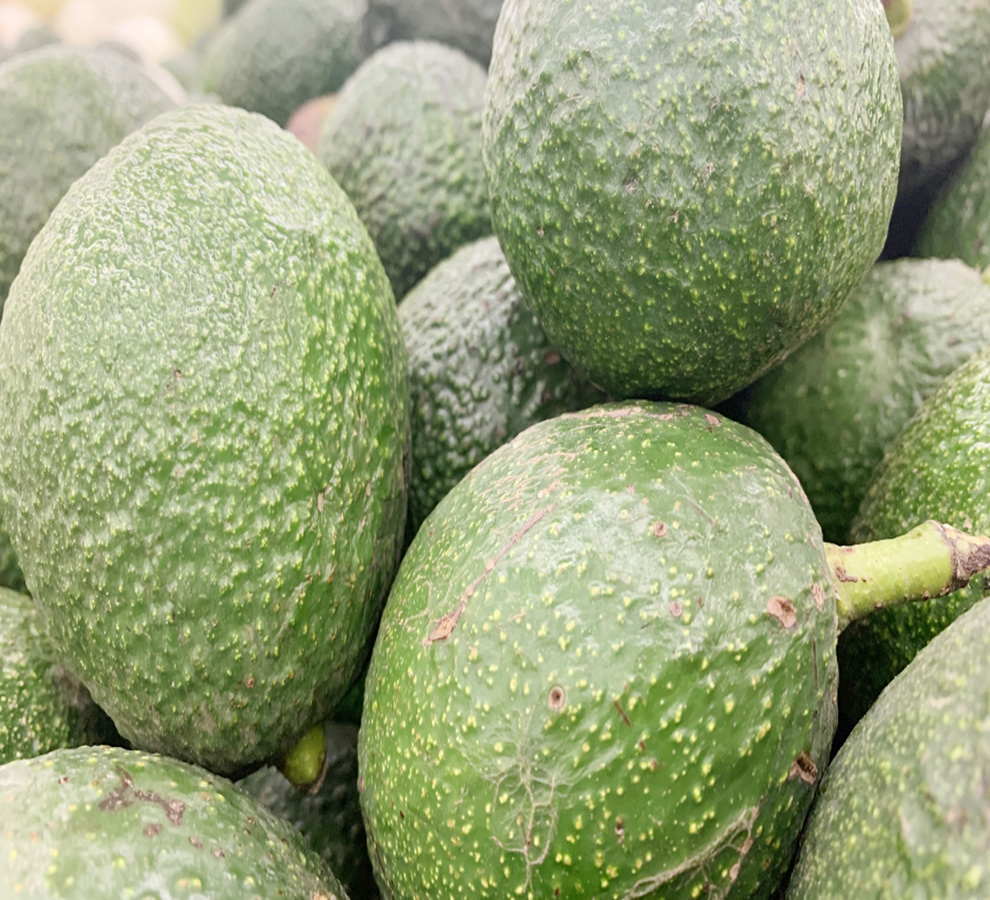 México ofrece a Estados Unidos estabilidad y seguridad de alimentos vegetales