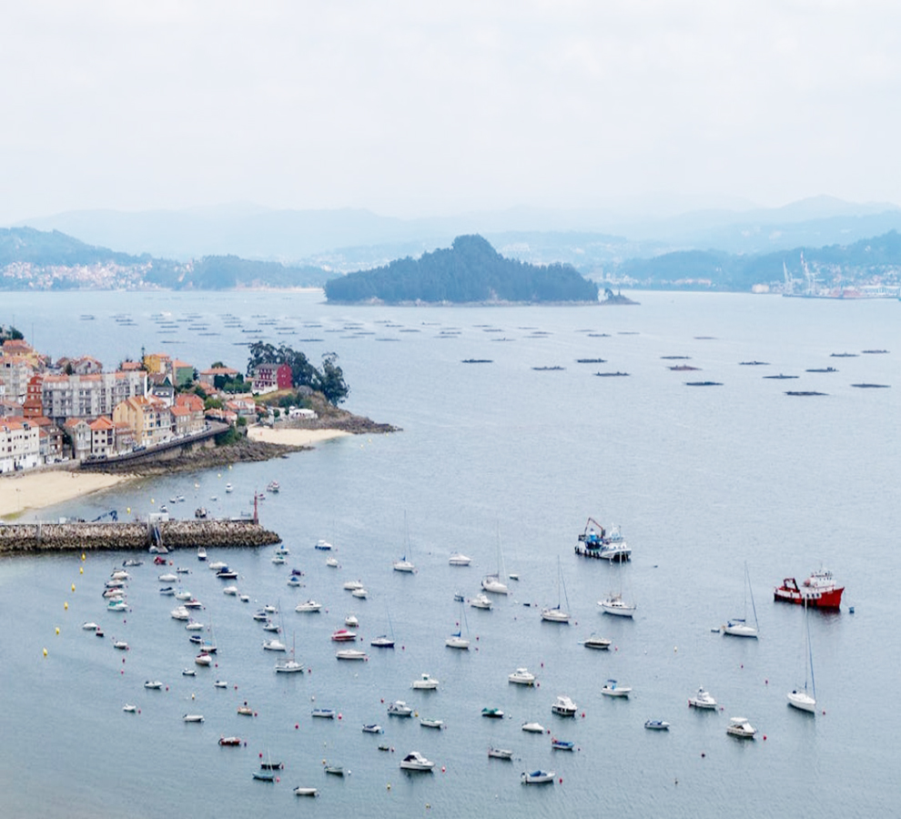 Cómo salvará la Comisión Europea la pesca en el mar Báltico