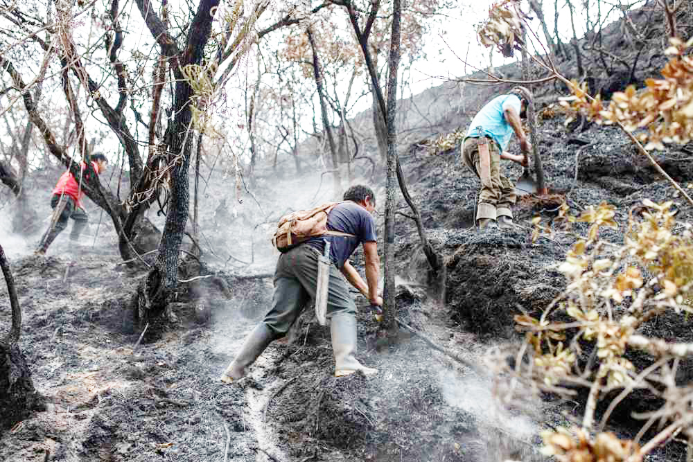 La Amazonía brasileña registró en septiembre el mayor número de incendios en 14 años