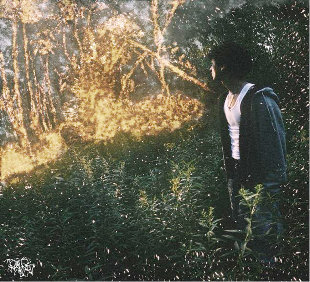 Dariell Cano comienza su historia musical con “Mujer en llamas”