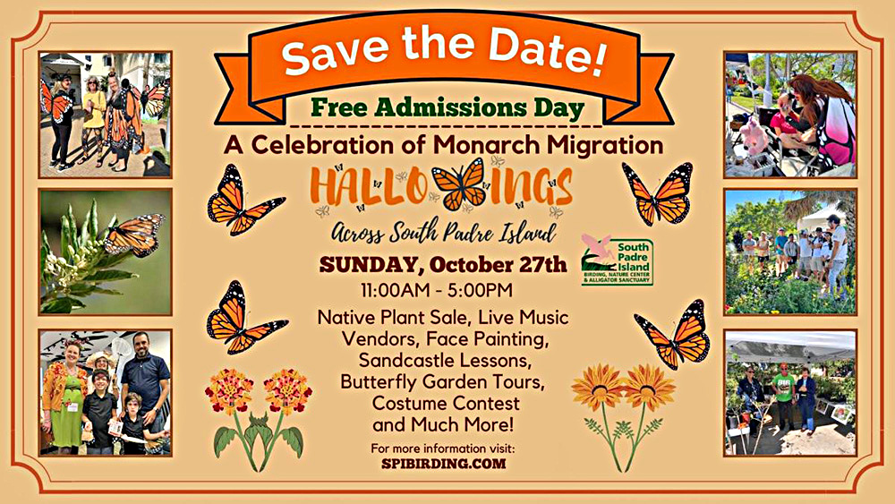 Isla del Padre celebra la magia de la migración de la mariposa monarca