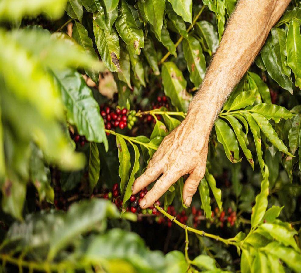 Empresas aumentan inversión para proteger la biodiversidad global