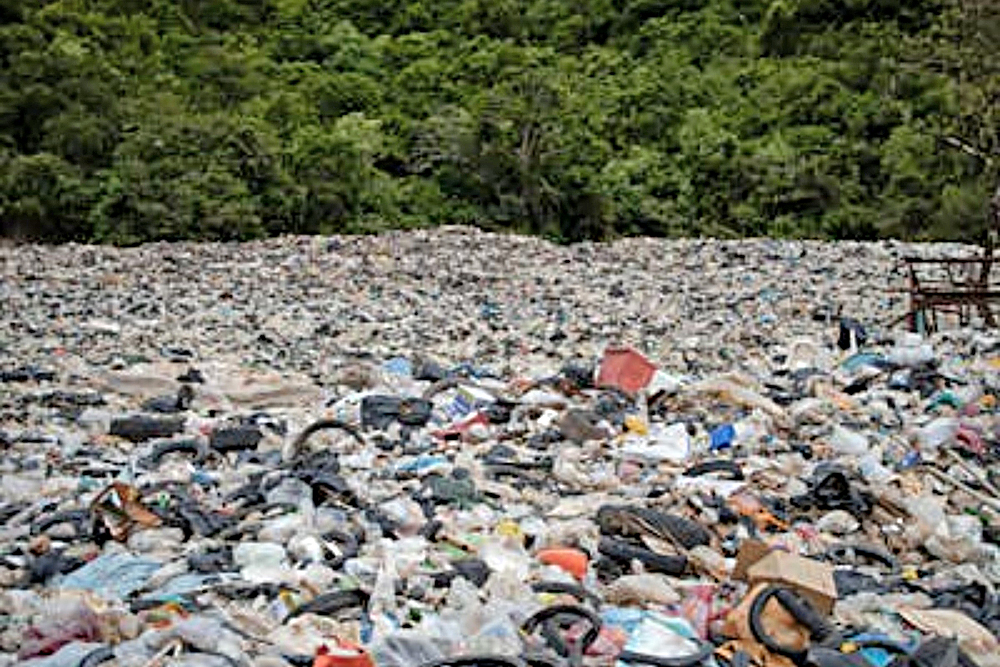 Microplásticos y salud: urgencia en la lucha contra la contaminación invisible