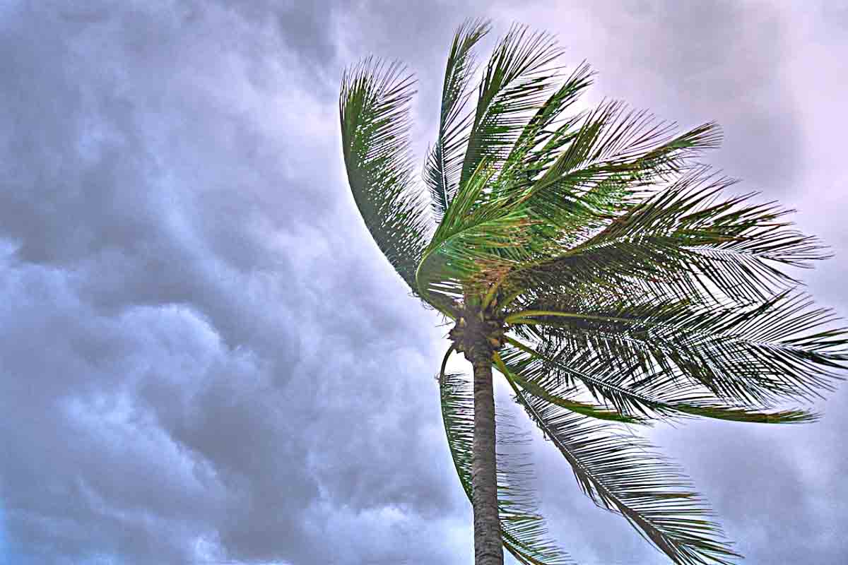 Escaneos 3D de granizos gigantes revelan pistas para predecir tormentas severas