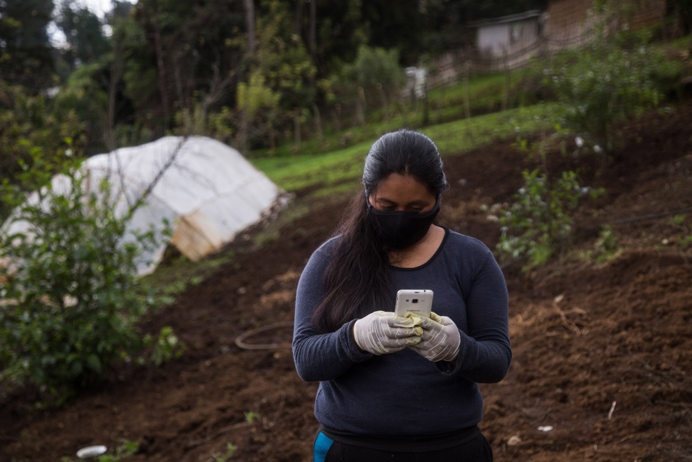 Más del 70 % de casos de violencia sexual digital en México no se denuncian, según estudio