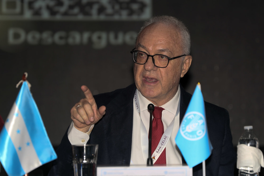 América Latina ante un panorama “muy preocupante” por las altas cifras de hambre y obesidad