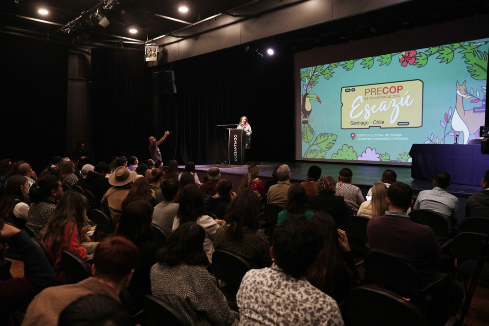 En Chile se vulneraron los derechos de 27 ambientalistas durante 2024, el año más violento