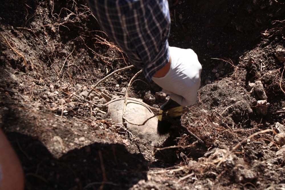 Colectivo halla crematorios, fosas, huesos y objetos personales en el oeste de México