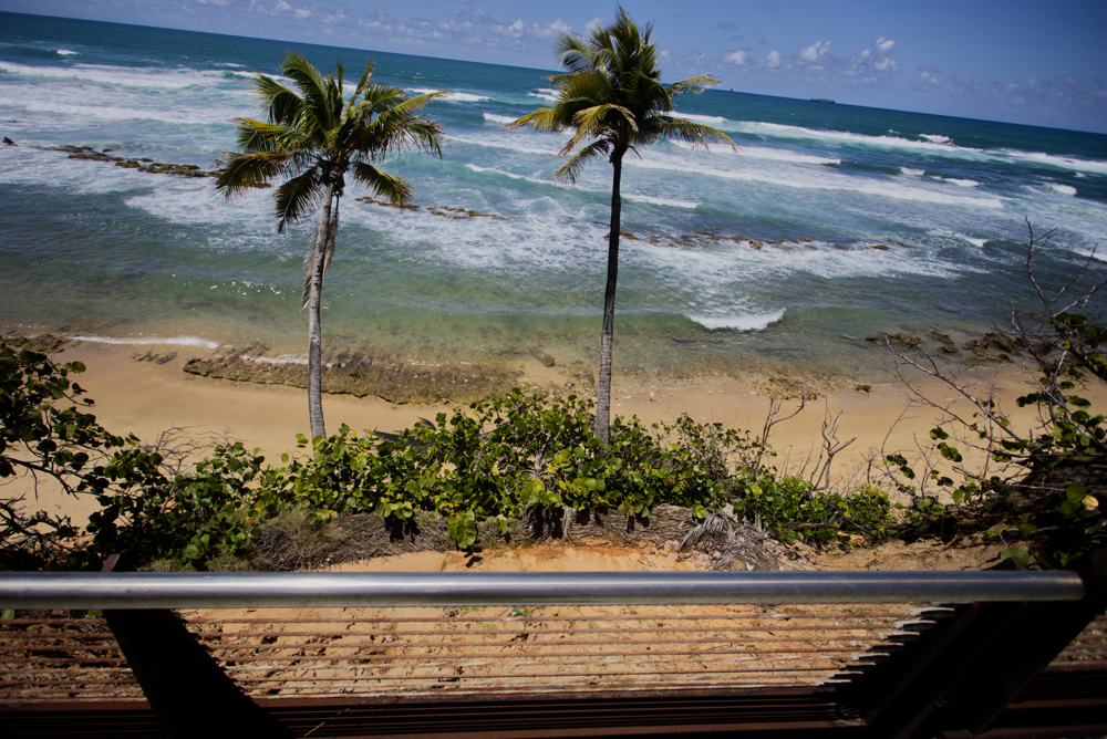 Proyectos de complejos turísticos de lujo amenazan los ecosistemas de Puerto Rico