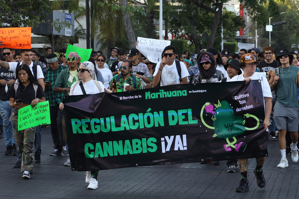 Miles de activistas exigen en México regulación para consumo y uso recreativo de cannabis