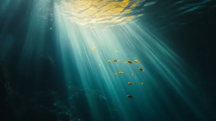 0e0da424-550a-4774-aee9-2d401fbd16b1_large