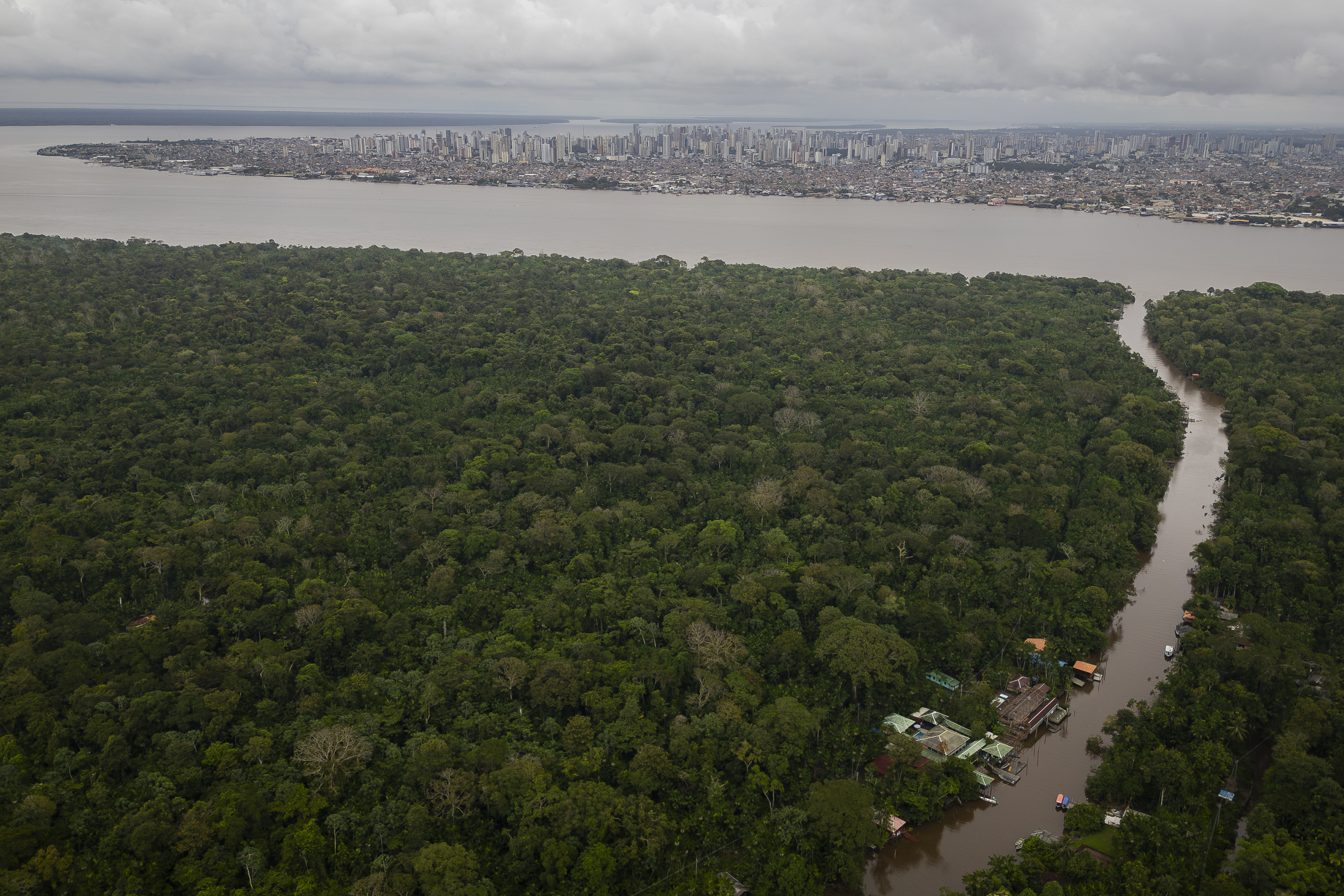 La Amazonía brasileña registró en 2024 la mayor área quemada en los últimos cuarenta años