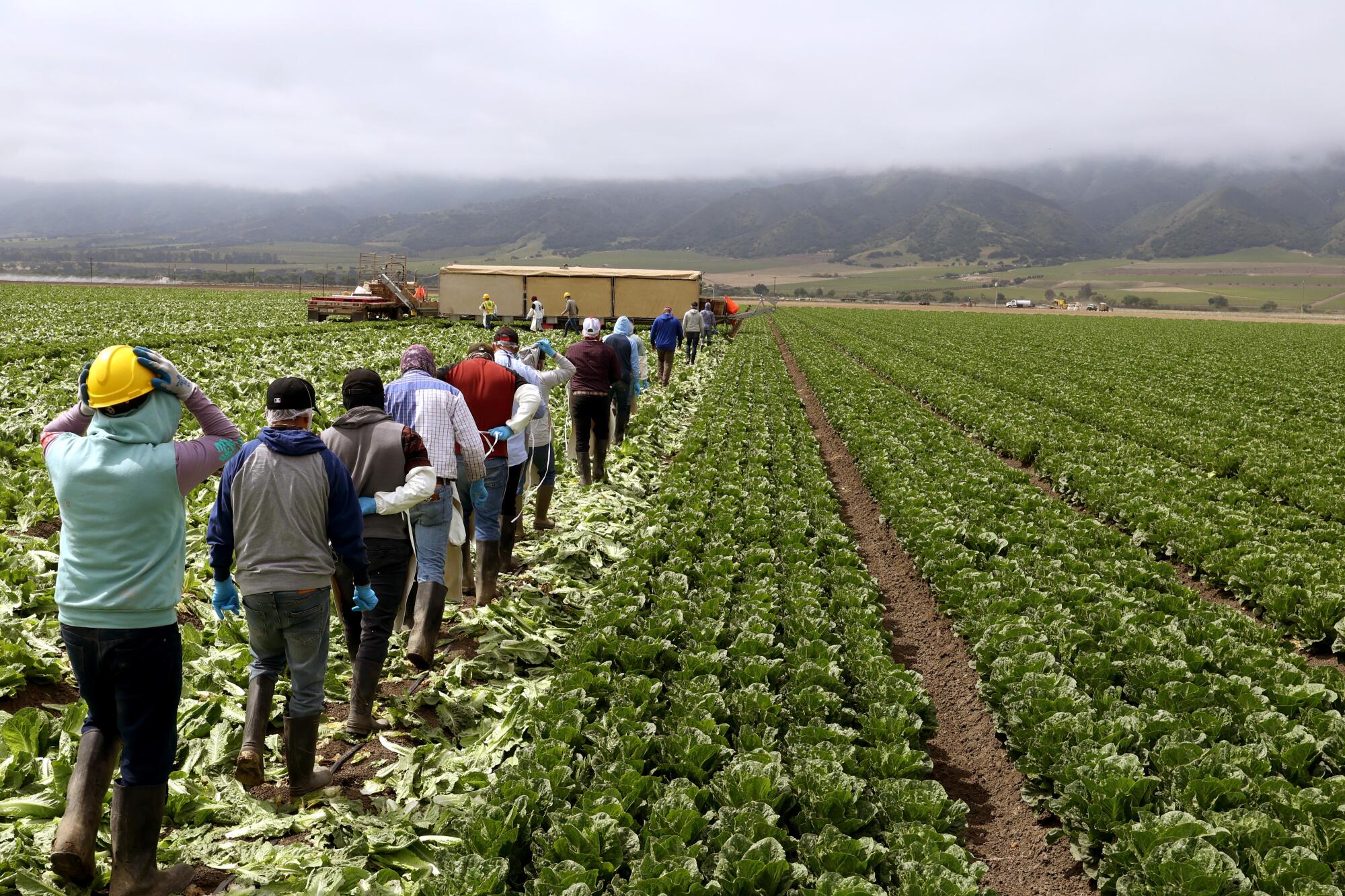 Trump reitera que solo busca deportar a criminales y no quiere afectar a los granjeros