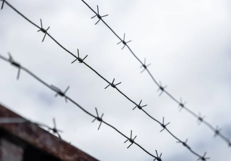 Mujer guatemalteca pierde su embarazo bajo custodia de ICE tras negligencia médica y condiciones inhumanas