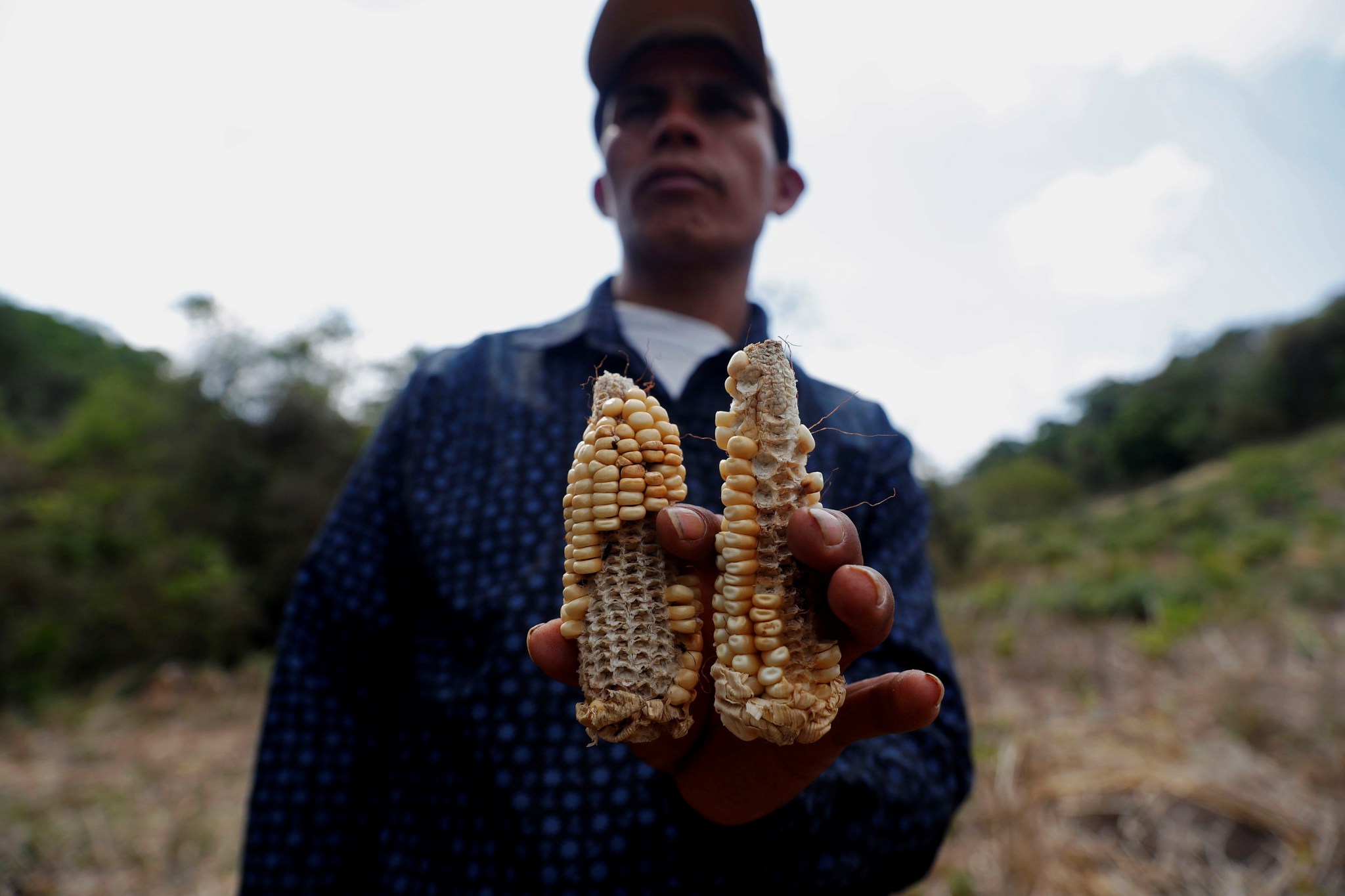 ONU asigna 4 millones de dólares a Guatemala para prevenir la sequía en época de cosecha