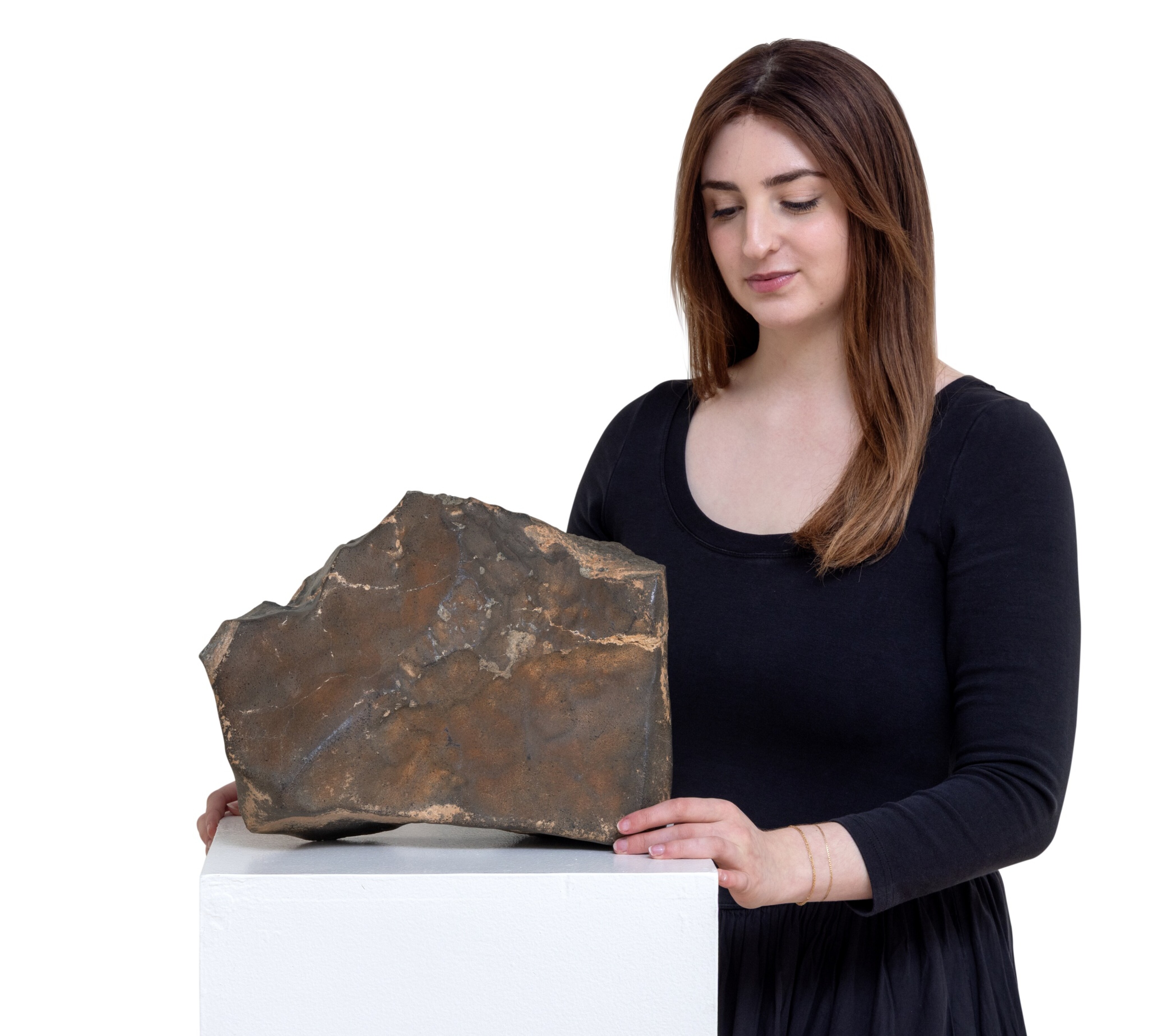 Sotheby's subastará el meteorito marciano más grande y valioso encontrado hasta la fecha