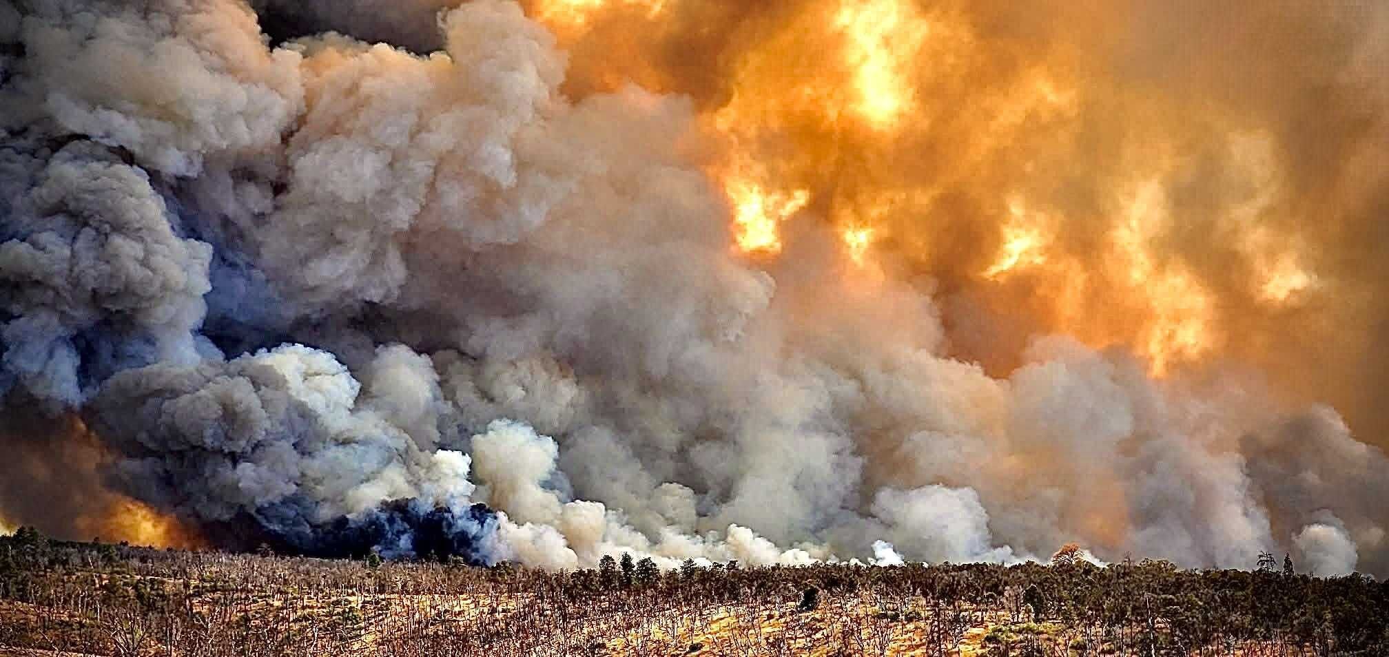 Incendio arrasa parte del Gran Cañón: Se pierde salvia blanca, planta sagrada para culturas indígenas