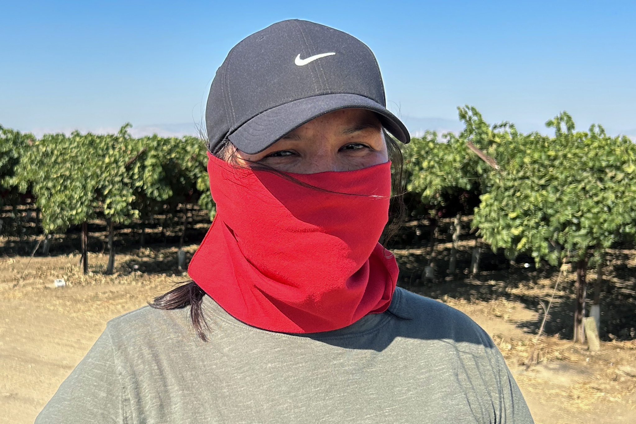 El miedo que se cosecha: jornaleros en California bajo las redadas migratorias