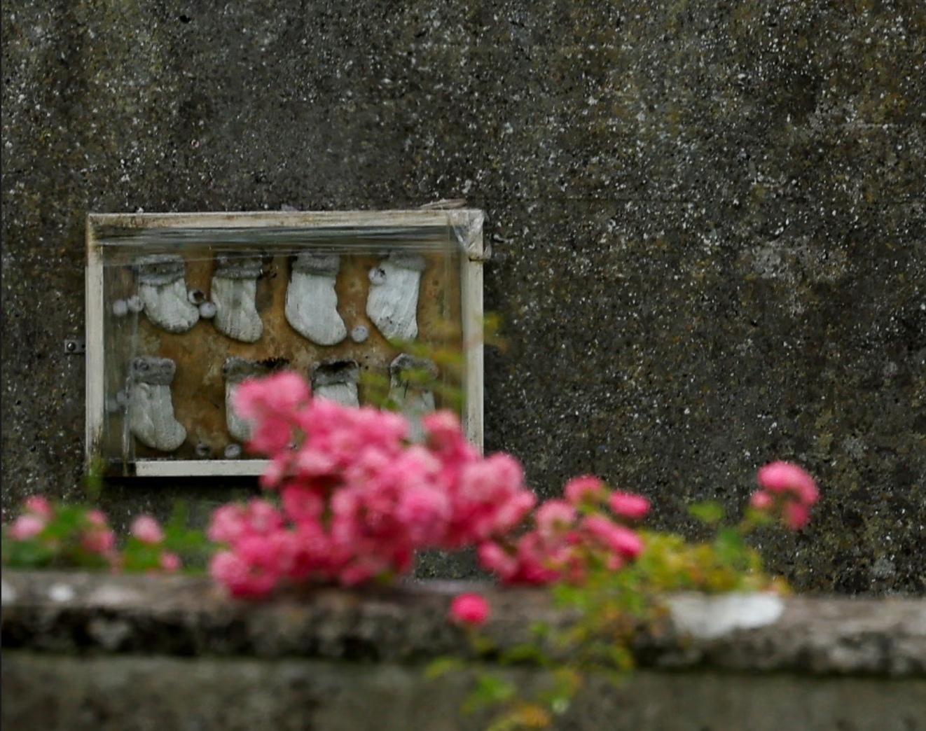 Irlanda inicia la exhumación de una fosa común con los restos de 796 bebés en Tuam