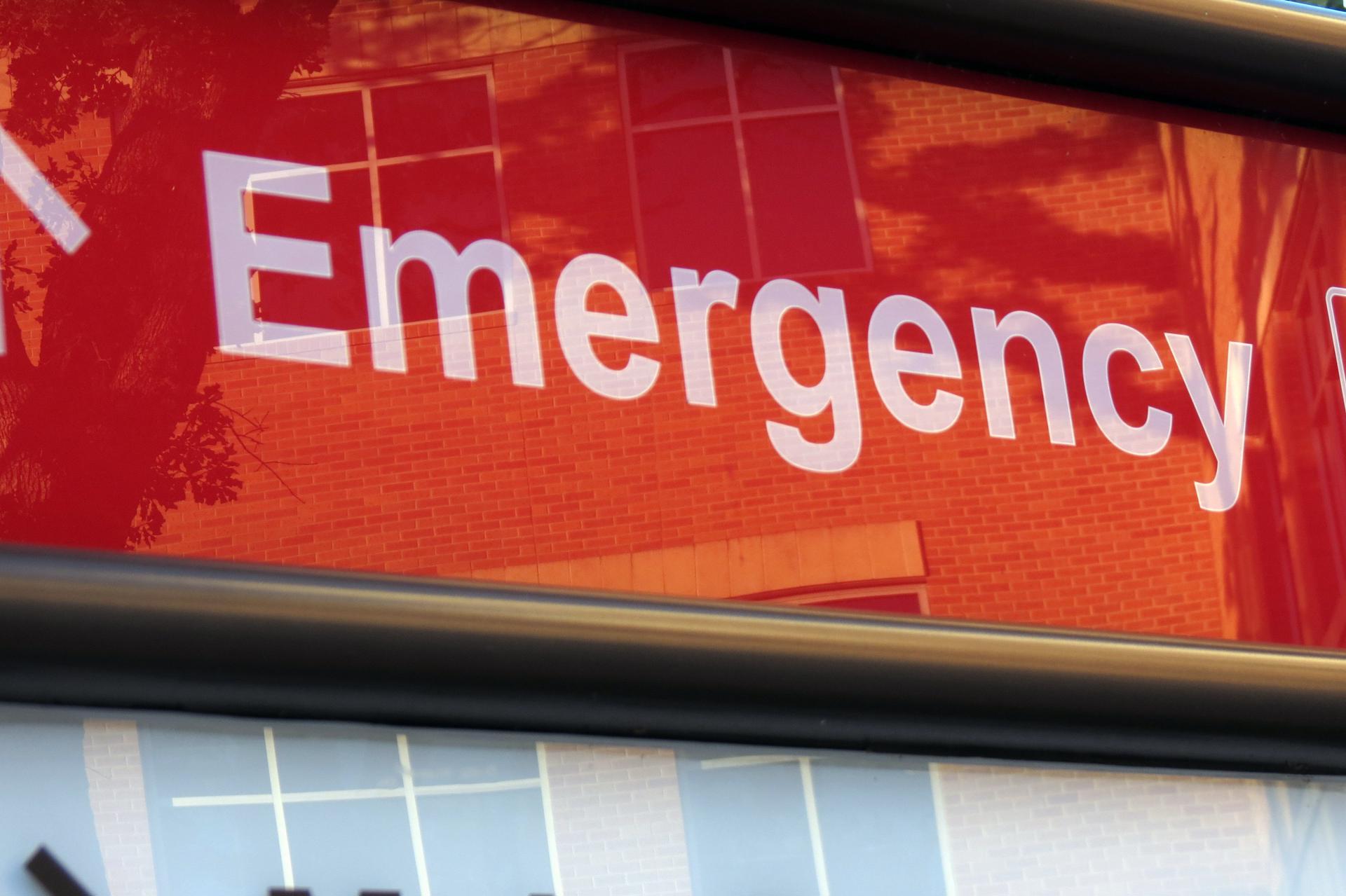 Estados Unidos reporta la primera muerte por peste bubónica en 2025